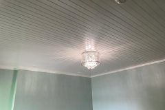 Arctic-White-IMG_2055