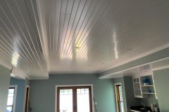 Arctic-White-IMG_2059