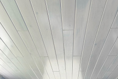 2024-bluestainwhitewash1