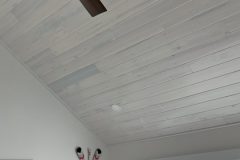 Bluestain-WW-Ceiling-3-1-scaled