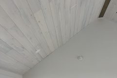 Bluestain-WW-Ceiling-scaled