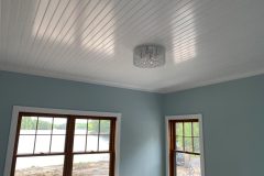 Arctic-White-IMG_2054