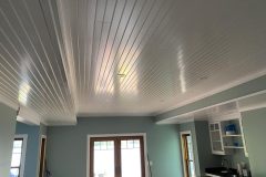 Arctic-White-IMG_2059